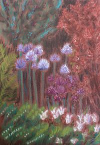 Allium (Pastell)